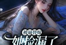 小说《被逼替嫁,她捡漏了财阀大佬》章节免费阅读-干果文学