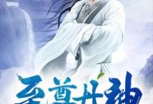 至尊丹神最新章节,至尊丹神免费阅读-干果文学