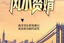 风水赘婿陆尘玲珑小说在线章节免费阅读-干果文学