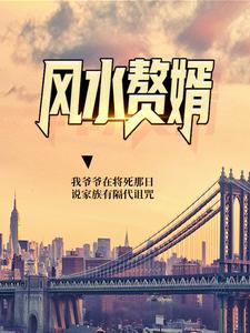 风水赘婿陆尘玲珑小说在线章节免费阅读