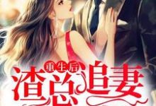 重生后,渣总追妻火葬场小说全文阅读需要付费吗?寻找免费资源-干果文学