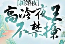 想读 慕夕芷秦北夜的故事,哪里可以免费找到新婚夜,高冷夜王不禁撩?-干果文学