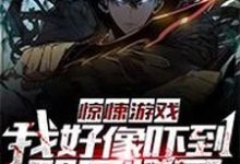 惊悚游戏:我好像吓到那只怪了苏寻小说在线章节免费阅读-干果文学