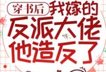 求穿书后,我嫁的反派大佬他造反了小说的全文免费阅读链接-干果文学