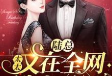小说《陆总,太太又在全网选老公了》章节阅读-干果文学