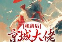 和离后,京城大佬排队娶我小说有没有完整的免费版本在线阅读?-干果文学