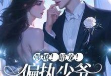 想读梁迟音陈赴淮的故事,哪里可以免费找到强撩!暗宠!偏执少爷心动一万次?-干果文学