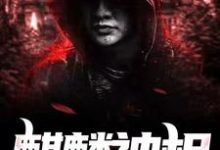 想读 苏阳雨烟的故事,哪里可以免费找到麒麟神相?-干果文学
