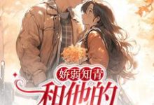 求娇弱知青和他的霸王花媳妇小说免费资源-干果文学