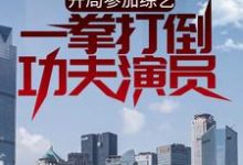 樊龙杨老板小说在线章节免费阅读(开局参加综艺,一拳打倒功夫演员无弹窗无删减)-干果文学