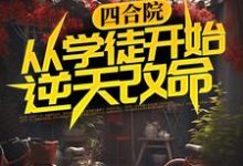 四合院:从学徒开始逆天改命章节免费在线阅读,何雨柱何雨水完结版-干果文学