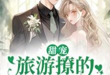完结版《甜宠:旅游撩的老板追来了!》章节阅读-干果文学
