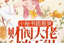 顾吟裴枭的小说在哪里看?免费在线阅读小秘书超易哭,财阀大佬凶不得!-干果文学