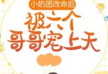 主人公叫霍小糖的小说哪里免费看-干果文学