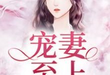 宠妻至上叶晴穆子琛小说在线章节目录阅读最新章节-干果文学