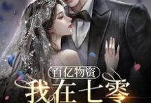 小说《百亿物资,我在七零被反派爆宠》章节免费阅读-干果文学