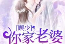顾少,你家老婆又拆家了小说完结版章节免费阅读-干果文学