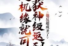 送机缘就可获神级返利,他反超成圣了小说免费资源,送机缘就可获神级返利,他反超成圣了在线阅读-干果文学