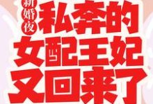 新婚夜,私奔的女配王妃又回来了这本小说完结了吗?免费查看最新章节-干果文学
