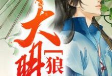 完结版《大明狼烟》章节阅读-干果文学