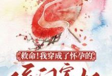 救命!我穿成了怀孕的侯门寡妇林依颜暮云小说免费阅读-干果文学