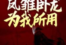 三国:开局娶妻,凤雏卧龙为我所用小说,三国:开局娶妻,凤雏卧龙为我所用在线阅读-干果文学