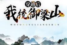 主人公叫王铁宋江的小说哪里免费看-干果文学