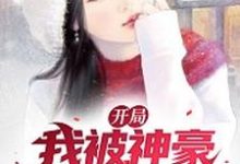 王皓的小说在哪里看?免费在线阅读开局我被神豪系统群狂舔-干果文学