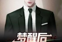 免费看梦醒后,我一夜暴富了小说的网站有哪些?-干果文学