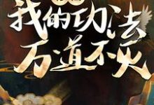 无道是哪本书的主角?修仙:我的功法万道不灭免费读-干果文学