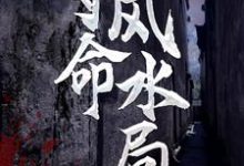 完结版《夺命风水局》章节阅读-干果文学