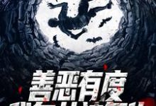 顾衡小说在哪里可以看-干果文学