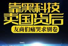苏晨的小说在哪里看?免费在线阅读靠黑科技卖国货后,友商们痛哭求别卷-干果文学