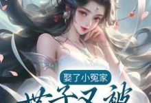 娶了小冤家:世子又被夫人欺负了小说的免费阅读版本在哪里可以找到?-干果文学