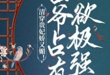 哪里可以免费读到许莹莹胤禛的完整故事?寻找清穿贵妃娇又媚!四爷占有欲极强-干果文学