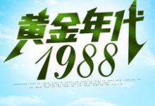 黄金年代1988小说阅读,黄金年代1988完结版-干果文学