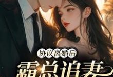 协议离婚后,霸总追妻火葬场小说全文哪里可以免费看?-干果文学