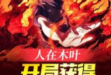 主人公叫宇智波卡卡西的小说人在木叶,开局获得万花筒写轮眼在线阅读章节-干果文学