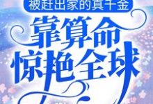 男女主人公叫凌清浅时北陌的小说免费资源-干果文学