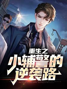 《重生之小辅警的逆袭路》小说章节列表免费试读，江阳小说在线阅读
