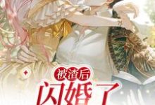 免费阅读江璐思江璐申呤为主角的小说,被渣后,闪婚了千亿霸总在线看-干果文学