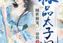 完结版《倾世独宠:极品太子妃》章节阅读-干果文学
