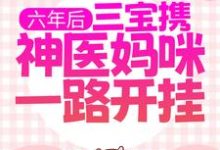主角秦慕烟战司宸小说完结版在线阅读,六年后,三宝携神医妈咪一路开挂免费看-干果文学