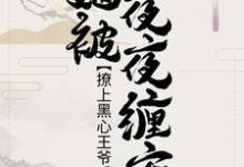 裴汐颜祁宸珞裴洳雪小说叫什么(撩上黑心王爷后,她被夜夜缠宠免费阅读)-干果文学