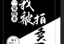 李昭林瑾小说叫什么(一觉醒来,我被拍卖了免费阅读)-干果文学