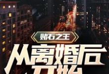 完结版《赌石之王从离婚后开始》章节阅读-干果文学