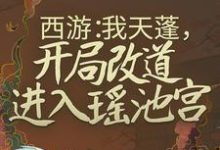 《西游:我天蓬,开局改道进入瑶池宫》小说主角杜晨天蓬元帅章节章节免费在线阅读-干果文学