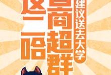 完结版《这二哈智商超群,建议送去大学》在线免费阅读-干果文学