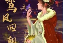 重生之鸾凤回朝小说最新章节在哪里可以读到?-干果文学