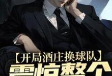 免费阅读杨力大姚为主角的小说,开局酒庄换球队,震惊整个NBA在线看-干果文学